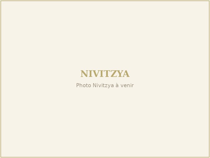 Nivitzya — mobilier